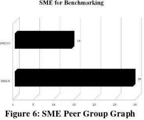 Figure 6: SME Peer Group Graph 