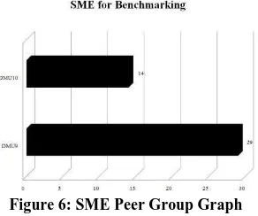 Figure 6: SME Peer Group Graph  