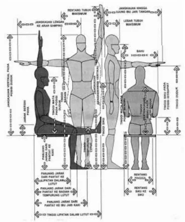 Gambar 2.6 Ukuran Tubuh Manusia (Suhardi, 2008)  Gambar  di  bawah  ini  memperlihatkan  antropometri  struktural