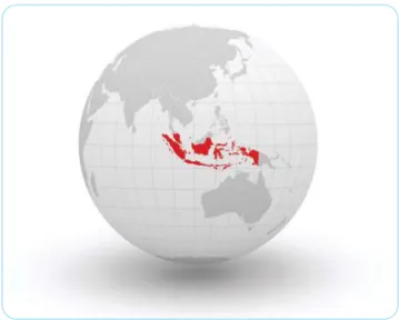 Gambar 6.2 Letak Indonesia  dalam peta globe.