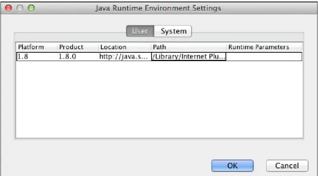 FIGURE 2-7: The User tab in the Java Runtime Environment Settings window.