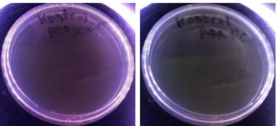 Gambar 1. Gambar Kontrol Pengencer dan Kontrol Media Uji ALT Media merupakan suatu bahan yang terdiri atas campuran nutrisi yang digunakan untuk menumbuhkan mikroorganisme baik dalam mengkultur bakteri, jamur, dan mikroorganisme lain