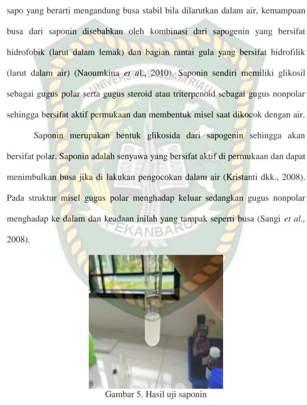 Gambar 5. Hasil uji saponin 