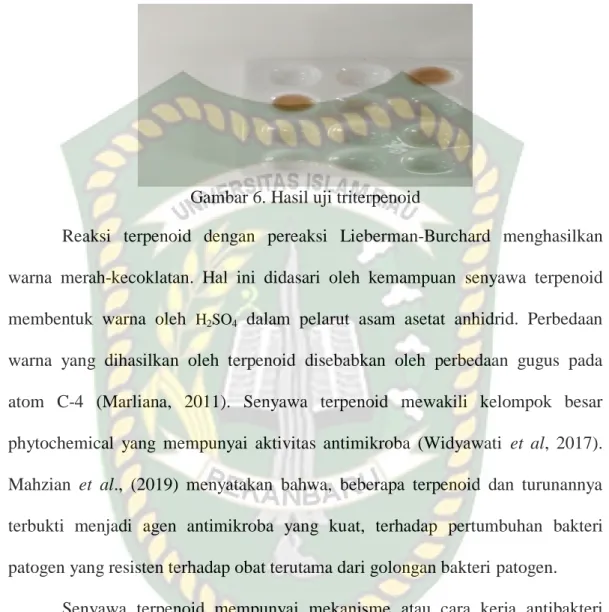 Gambar 6. Hasil uji triterpenoid 