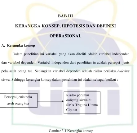 Gambar 3.1 Kerangka konsep 
