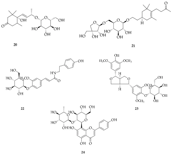 Figure 5. Compounds obtained from the methanol extract of red betel leaf. (1) (8R)-8-(4-hydroxy- (8R)-8-(4-hydroxy-3,5-dimethoxy)-propane-8-ol-4-O-β- D- glucopyranoside; (2) 4-Allyl-2,6-dimethoxy-3-hydroxy-1- D  -glucopyranoside; (3) 3-[(1E)-3-hydroxy-1-pr