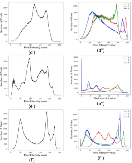 Figure 2. (Continued). 