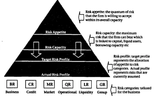 Figure 3.1: Top-down approach to risk appetite