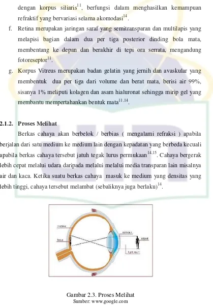 Gambar 2.3. Proses Melihat  