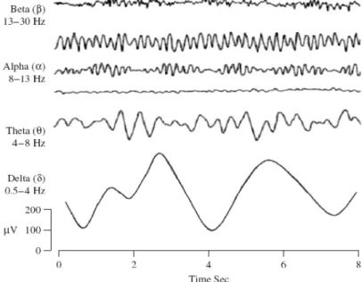 Gambar 7.2. Bentuk gelombang EEG berdasarkan tipenya C. Record Signal EEG