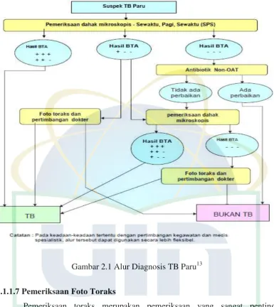 Gambar 2.1 Alur Diagnosis TB Paru13 