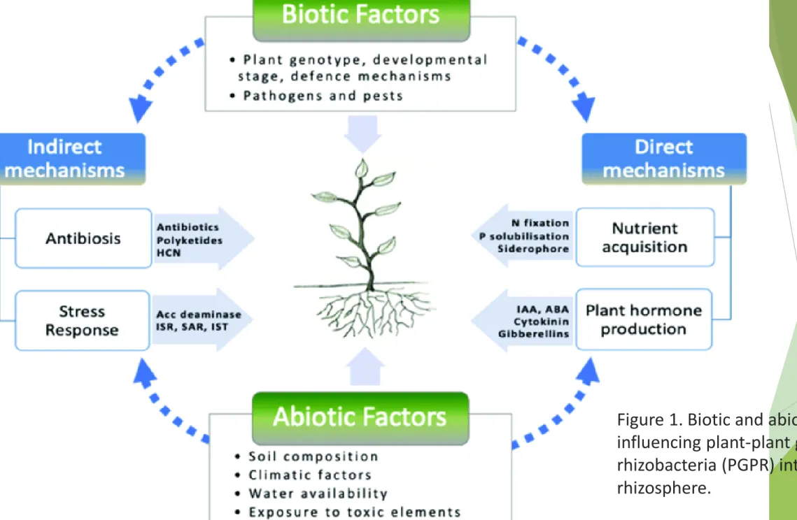 Figure 1. Biotic and abiotic factors 