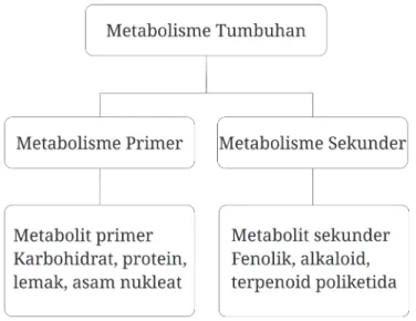 Gambar 2.2 Jenis metabolisme tumbuhan