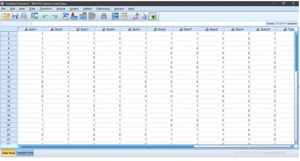 Gambar 2.2 Data View