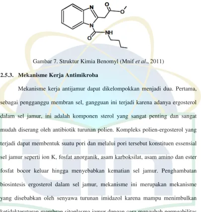 Gambar 7. Struktur Kimia Benomyl (Mnif et al., 2011) 