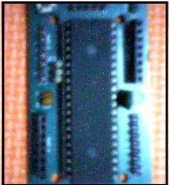 Gambar 2.4. Wavecom Fastrack M1306B. 