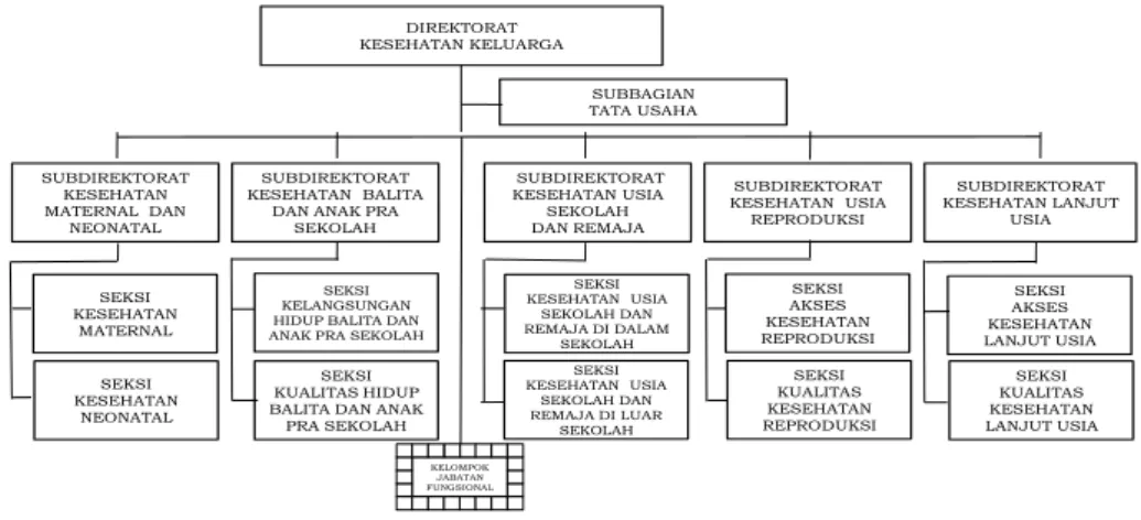 Gambar  1.1.    Struktur  Organisasi  Direktorat  Kesehatan  Keluarga  sesuai  Peraturan  Menteri  Kesehatan  Nomor  64  Tahun  2015 