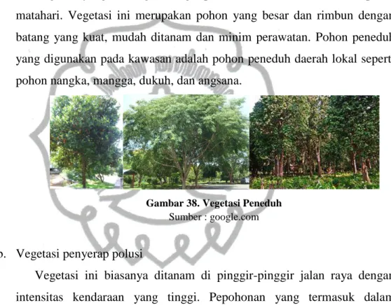 Gambar 38. Vegetasi Peneduh  Sumber : google.com 