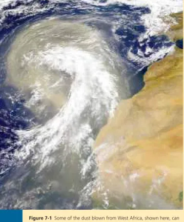 Figure 7-1  Some of the dust blown from West Africa, shown here, can  end up as soil nutrients in Amazonian rain forests and toxic air pollutants  in the U.S