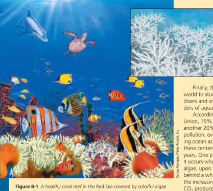 Figure 8-1 A healthy coral reef in the Red Sea covered by colorful algae  (left) and a bleached coral reef that has lost most of its algae (right)  be-cause of changes in the environment (such as cloudy water or high water  temperatures)