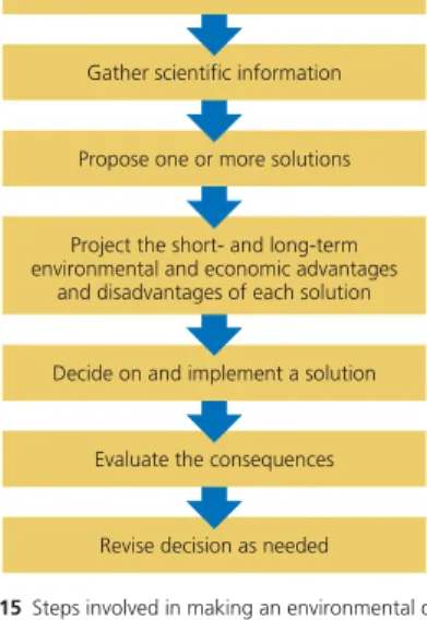Figure 1-15  Steps involved in making an environmental decision.
