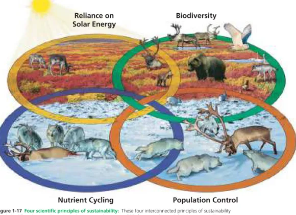 Figure 1-17  Four scientific principles of sustainability:  These four interconnected principles of sustainability  are derived from learning how nature has sustained a variety of life forms on the earth for about 3.56 billion years