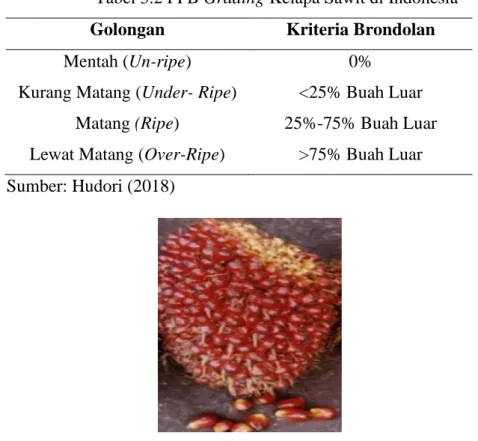 Tabel 3.2 FFB Grading Kelapa Sawit di Indonesia  Golongan  Kriteria Brondolan 