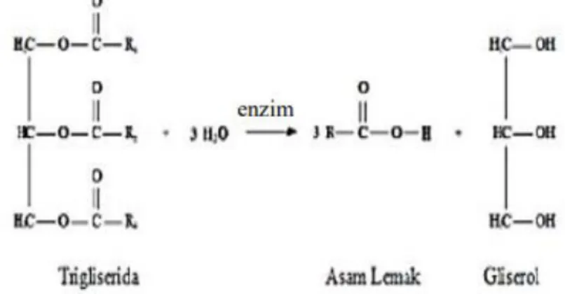 Gambar 3.5 Reaksi Hidrolisis pada Minyak (Rantawi, dkk., 2017)  Dalam reaksi hidrolisis, minyak akan diubah menjadi asam lemak bebas dan  gliserol