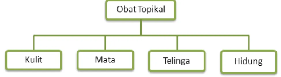 Gambar 2.4. Pemanfaatan Obat Topikal 