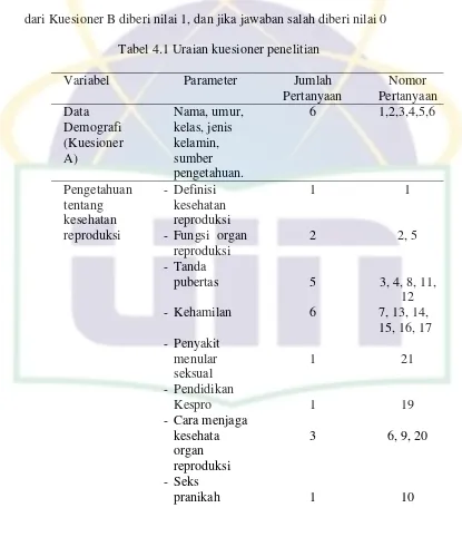 Tabel 4.1 Uraian kuesioner penelitian 