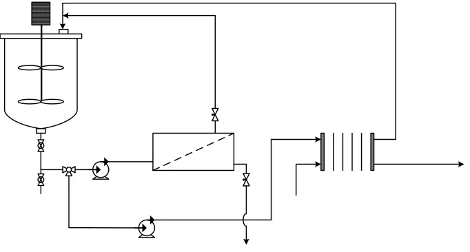 Figure 1. Schematic representation of the experimental set-up 