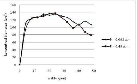 Gambar 3 menunjukkan hubungan antara waktu dengan konsentrasi etanol yang dihasilkan selama proses 
