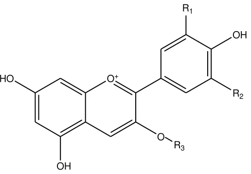 Gambar 2.4 Struktur kimia utama antosianin 