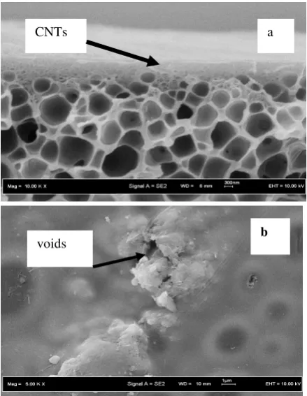 Figure 4: SEM picture of asymmetric unmodified carbon nanotubes-polyethersulfone mixed matrix membrane at the: (a) cross section and (b) outer surface image layer