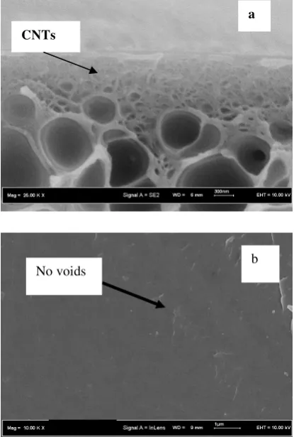 Figure 5: SEM picture of asymmetric modified carbon nanotubes-polyethersulfone mixed matrix membrane at the: (a) cross section and (b) outer surface image layer
