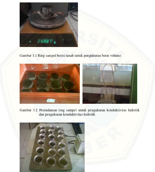 Gambar 3.1 Ring sampel berisi tanah untuk pengukuran berat volume 