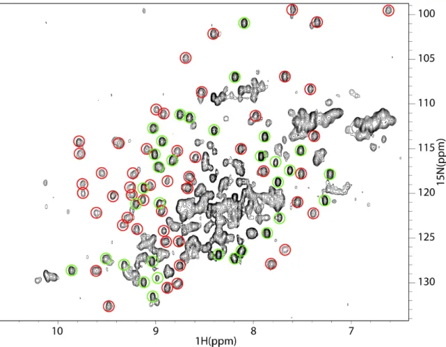 Figure 2.11: VC1 and C2 are separate structural units.  15 N- 1 H HSQC spectrum of  perdeuterated sRAGE is shown with peaks labeled based on direct comparison to the  spectra of VC1 and C2