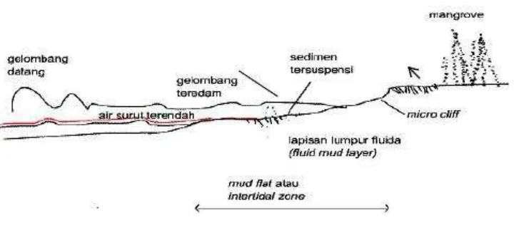 Gambar 2.3: Profil Pantai Berlumpur (Tarigan, 2002) 