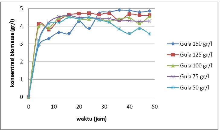 Gambar 4.3. Grafik Hubungan Antara Waktu Terhadap Konsentrasi Biomassa  