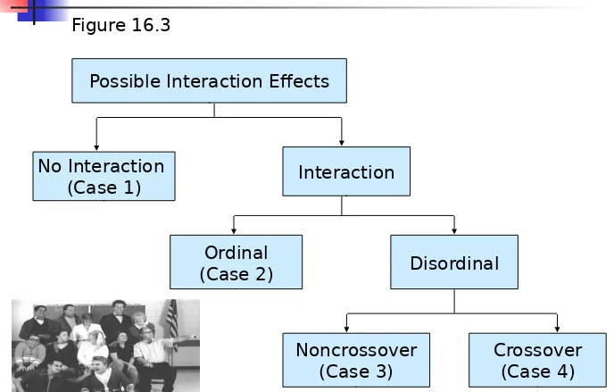 Figure 16.3Possible Interaction Effects
