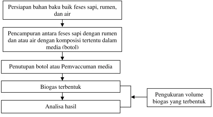 Gambar 1. Tahap Pembuatan Biogas 