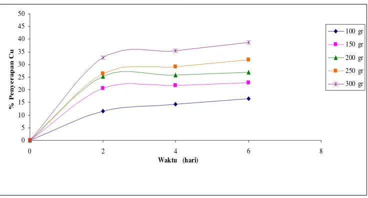 Gambar 4. Grafik % Penyerapan Cu oleh Algae Chlorella sp. pada berbagai berat Algae Chlorella sp.