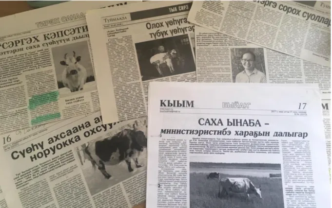 Figure 6. Newspaper articles on native cattle. The author can be seen on middle right