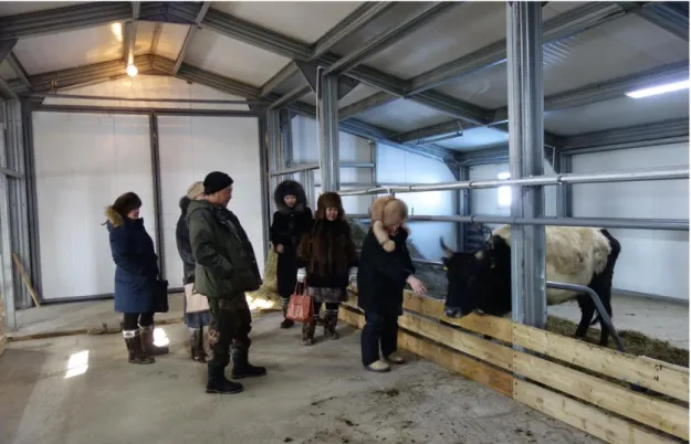 Figure 9. The villagers of Sakkyryr testing the new cowshed.  