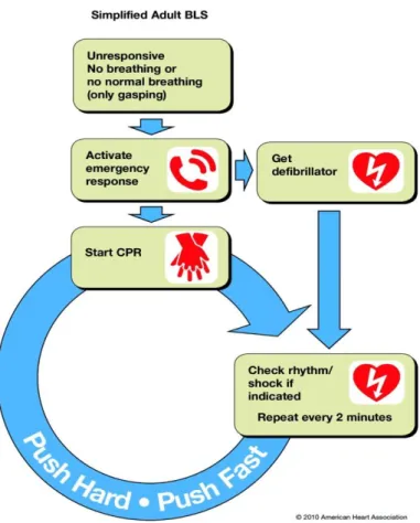 Gambar 2.1 Alur pemberian CPR pada orang dewasa  2.2.6 Kualitas CPR 