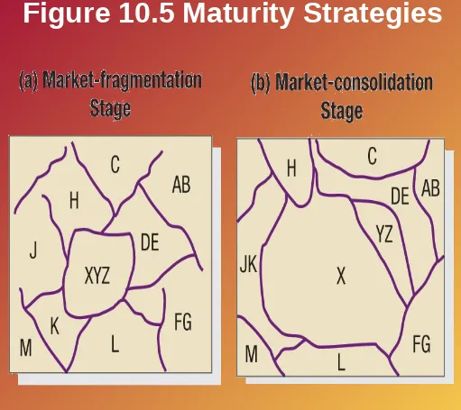 Figure 10.5 Maturity Strategies