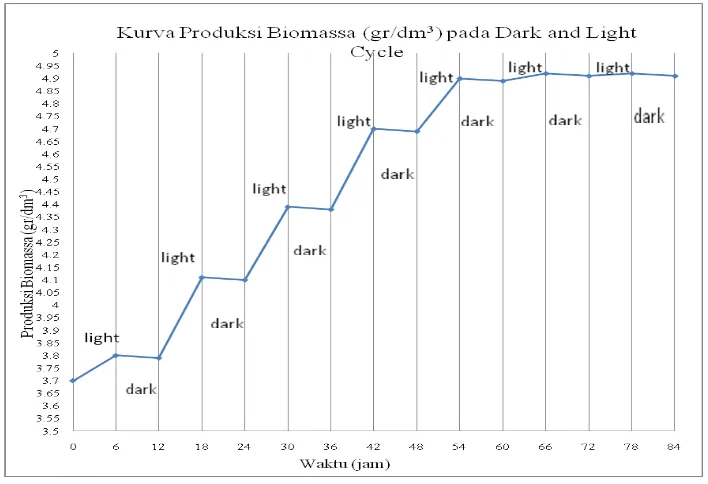 Gambar 4.5 Kurva produksi biomassa pada dark and light cycle 