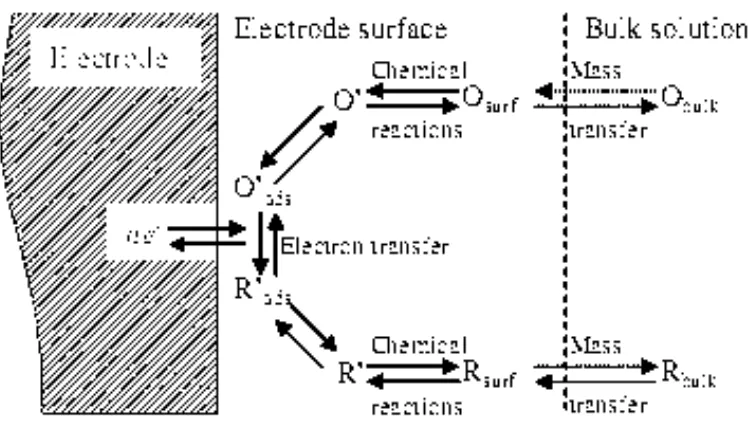 Gambar 1.  Mekanisme Reaksi di Permukaan Elektroda (Zoski, 2007) 