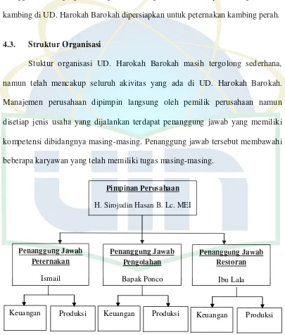 Gambar 7. Struktur Organisasi UD. Harokah Barokah 