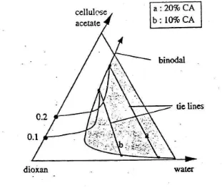 Gambar 2.5.   Diagram fasa sistem CA/dioxan/air pada konsentrasi 10% dan 20% CA dalam larutan casting (Mulder, 1996)  